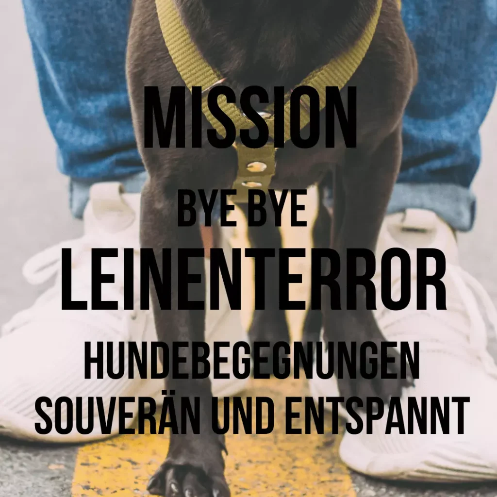 Titelbild Mission: Bye Bye Leinenterror