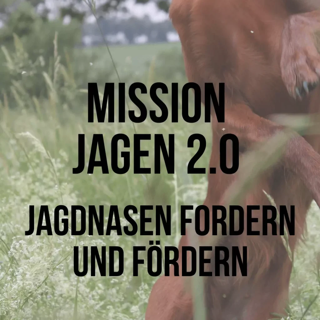 Titelbild Mission: Jagen 2.0