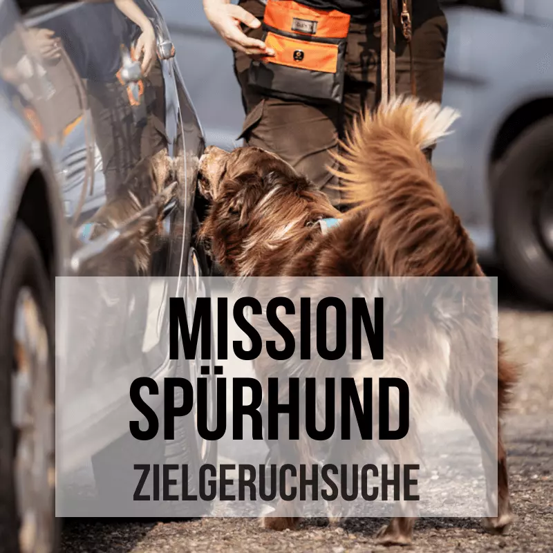 Titelbild Mission: Spürhund Zielgeruchsuche