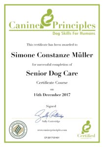 senior+dog+care+certificate-1920w