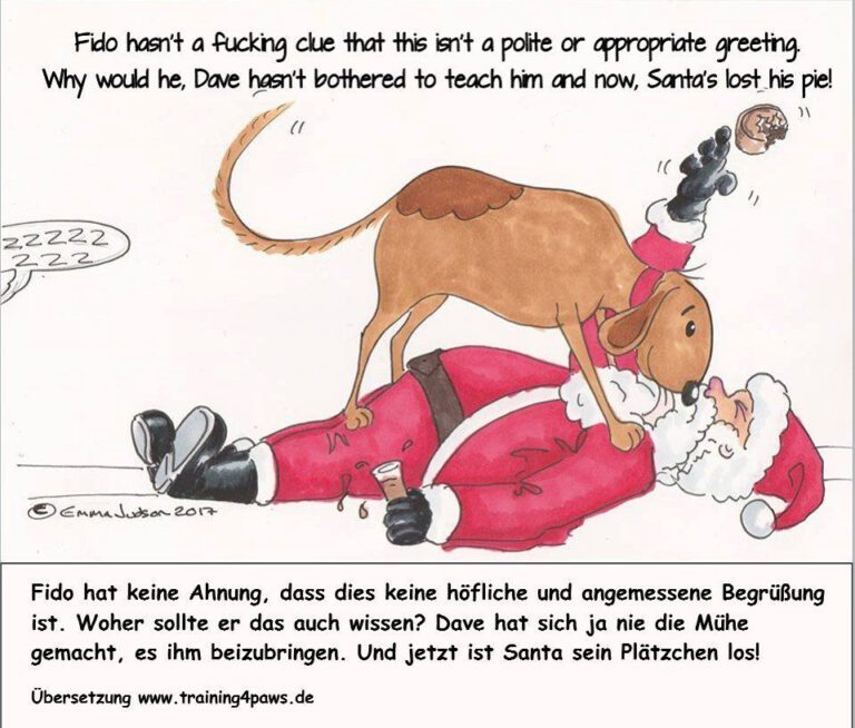 Illustration Fido und Santa