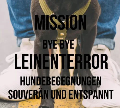 Titelbild Mission: Bye Bye Leinenterror
